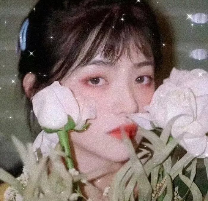 中华儿女